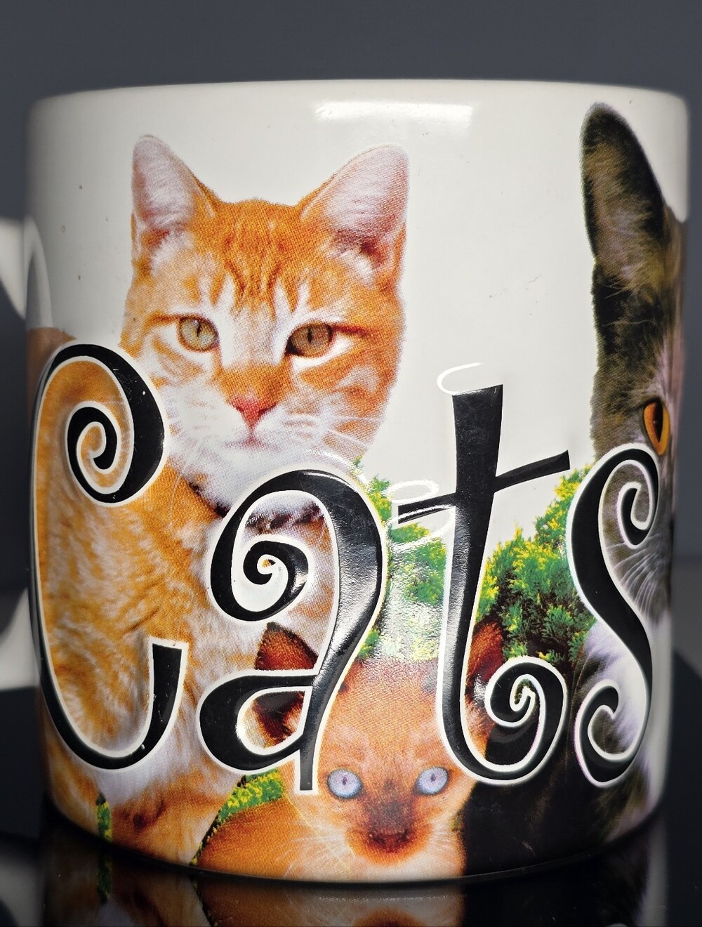 Vintage 2007 AmericaWare Large 18oz Cats Rule 3D Coffee Mug-Tea,Soup,Chili,Cup